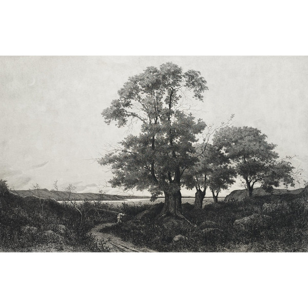 Landschaft der Loire Radierung von Pirodon nach Harpignies 19
