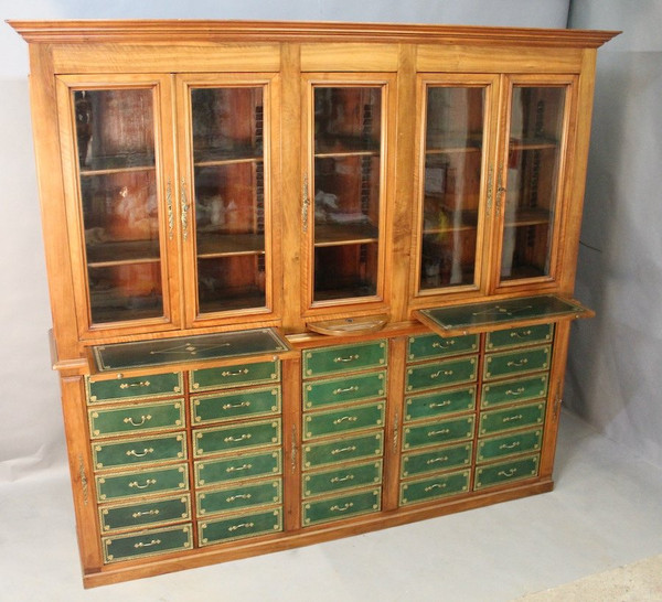 Bedeutende Mahagoni-Cartonnier-Bibliothek aus dem 19. Jahrhundert