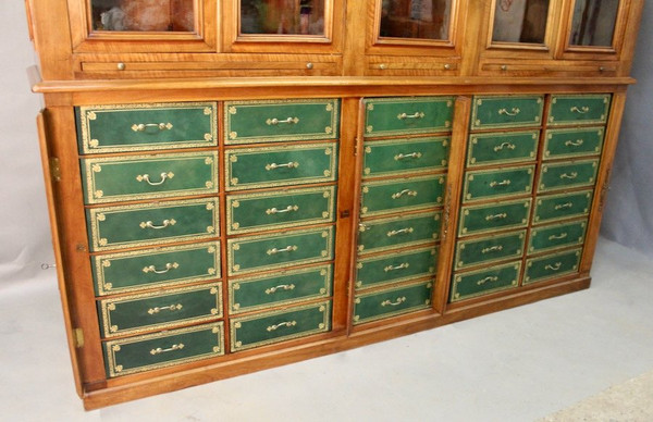 Bedeutende Mahagoni-Cartonnier-Bibliothek aus dem 19. Jahrhundert