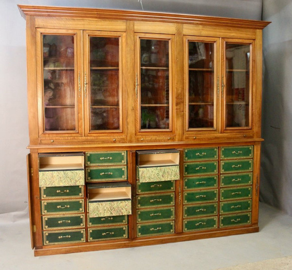 Bedeutende Mahagoni-Cartonnier-Bibliothek aus dem 19. Jahrhundert