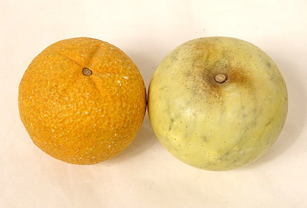 Ensemble 9 Fruits Marbre Carrare Polychrome Pomme Pêche Figue Poire XIXème