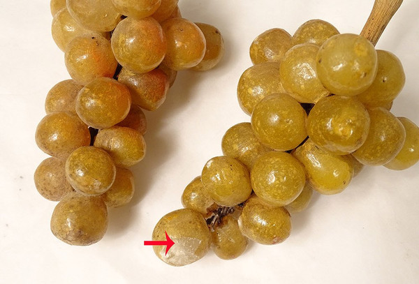 Set di 21 frutti in marmo policromo di Carrara Uve Pesche Ciliegie XIX secolo