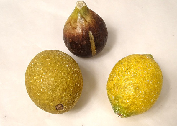 Set di 21 frutti in marmo policromo di Carrara Uve Pesche Ciliegie XIX secolo
