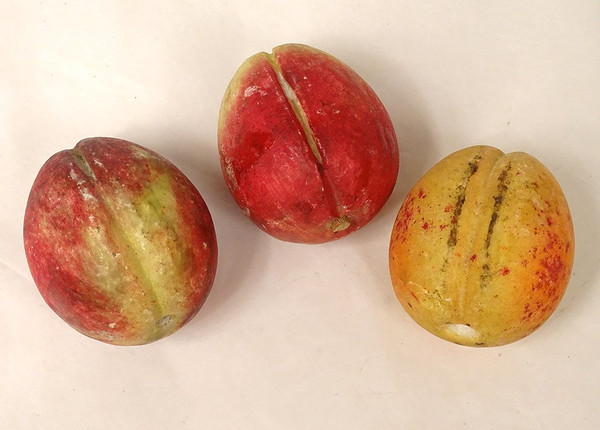 Set di 21 frutti in marmo policromo di Carrara Uve Pesche Ciliegie XIX secolo