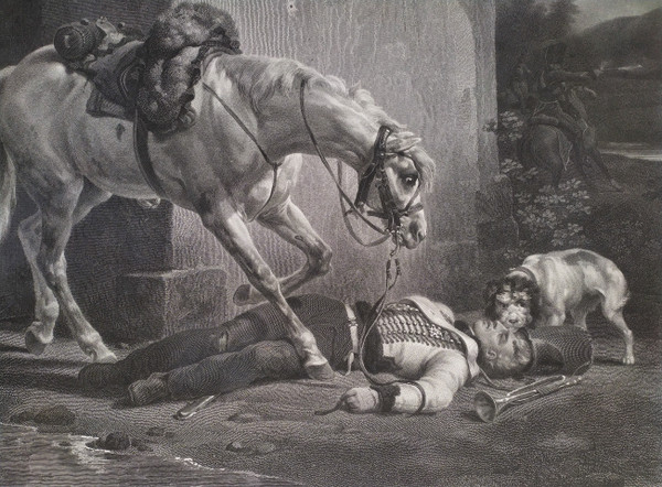 Etching Horse Rider Large Engraving Old Print