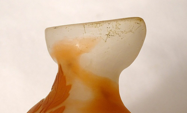 Vase Gourd Pâte de Verre Emile Gallé Fleurs Liseron Art Nouveau 19th century