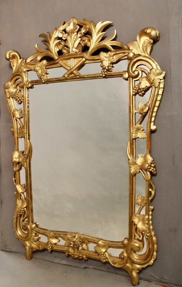 Large Raisin Mirror with Parecloses