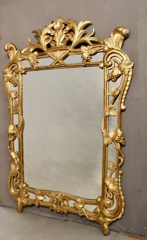 Large Raisin Mirror with Parecloses