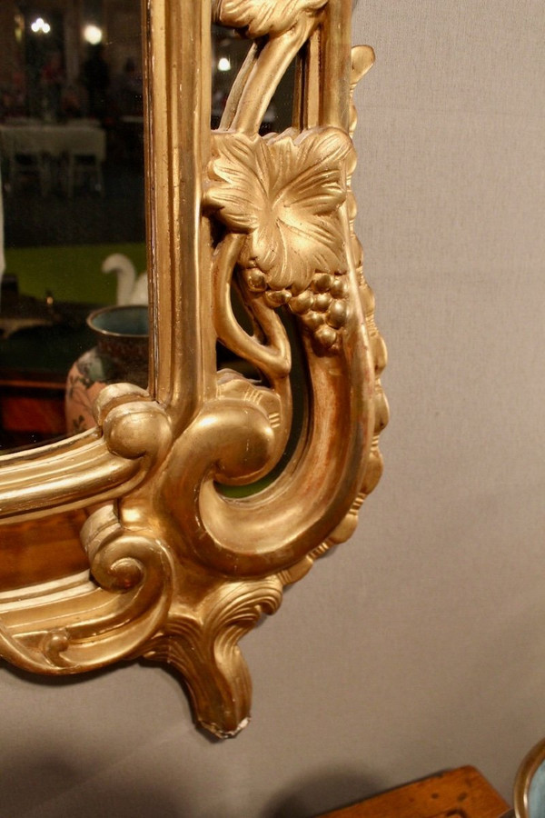 Large Raisin Mirror with Parecloses