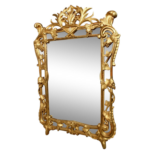 Large Raisin Mirror with Parecloses