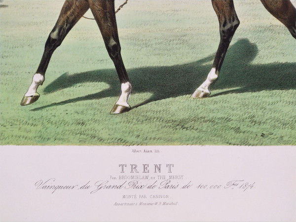Trent Cheval Monté Par Cannon Lithographie XIXème  Albert Adam Par Broomielaw,  The Mersy