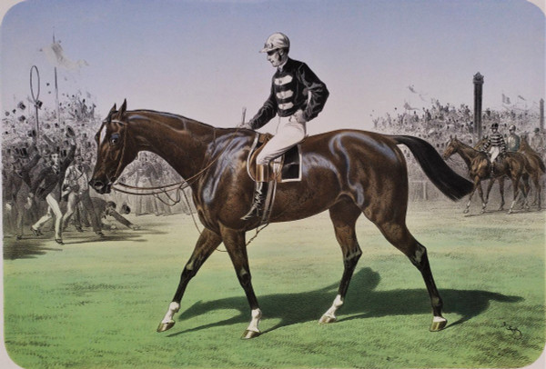 Trent Cheval Monté Par Cannon Lithographie XIXème  Albert Adam Par Broomielaw,  The Mersy