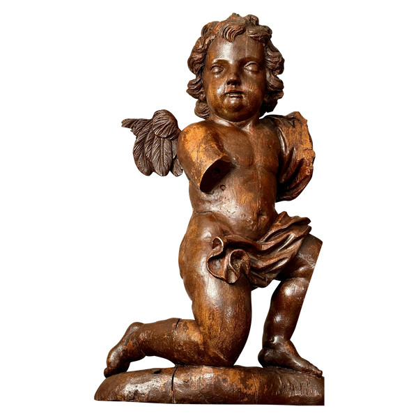 Angel Cherub Putti In Carved Wood 18th Century