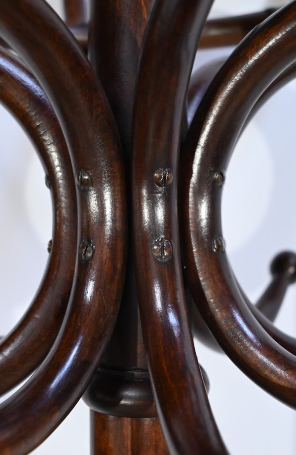 Perroquet Thonet modèle n°10.401 en Hêtre – 1ère Partie XXe
