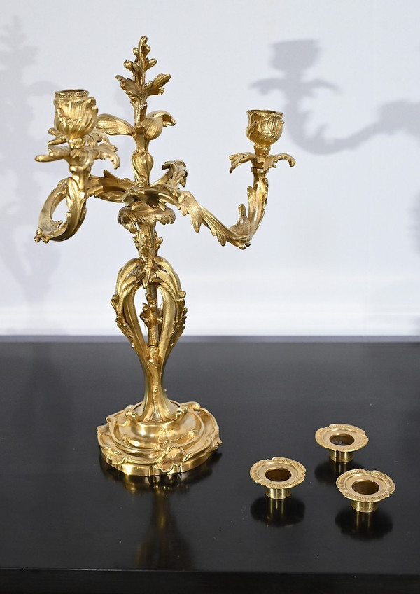 Coppia di candelabri in bronzo dorato, stile Luigi XV – Fine XIX secolo
