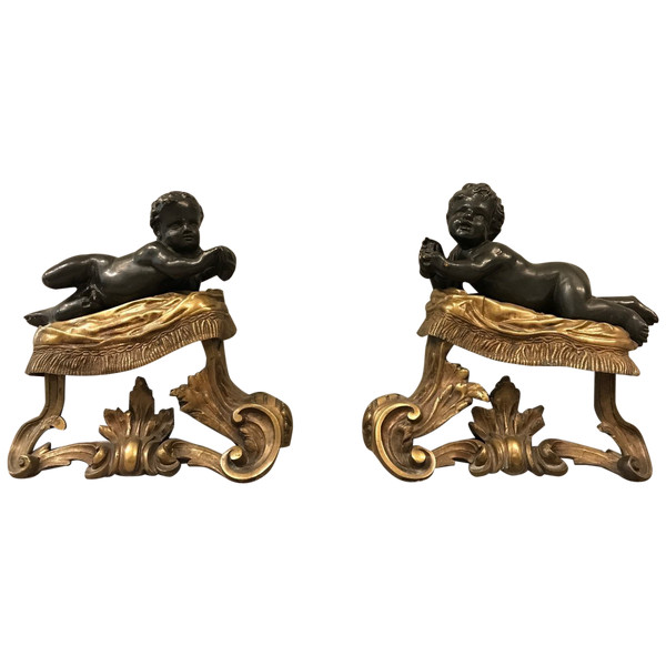 Antique gilded and patinated bronze andirons from the 19th century