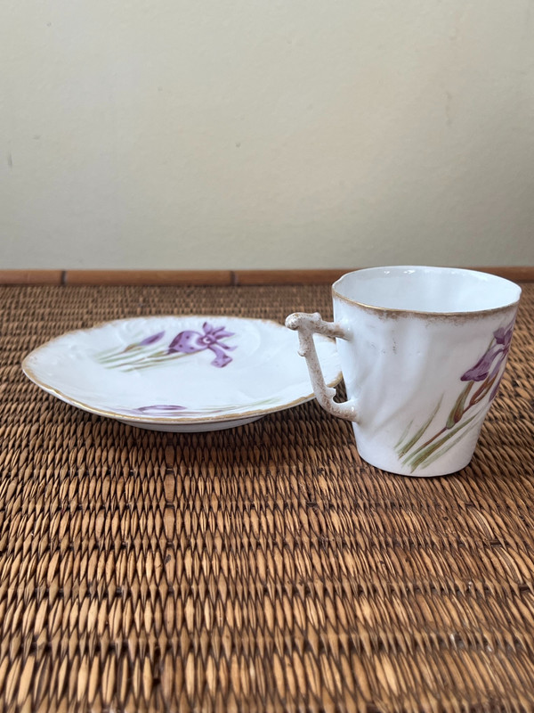 Limoges porcelain cup and saucer (Early 20th century) - Iris motif