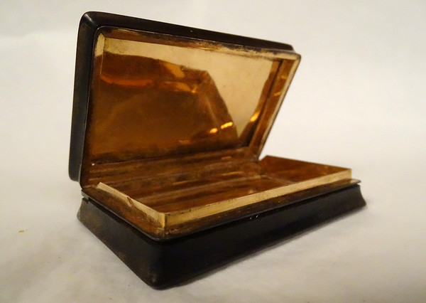 Boîte Corne Doublée Feuille Or Comte Paul De La Moussaye Bretagne XIXème