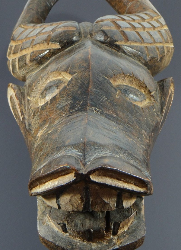 Westkamerun, Bamiléké-Volk, Erstes Drittel Des 20. Jahrhunderts, Große Babanki-tungo-Maske.
