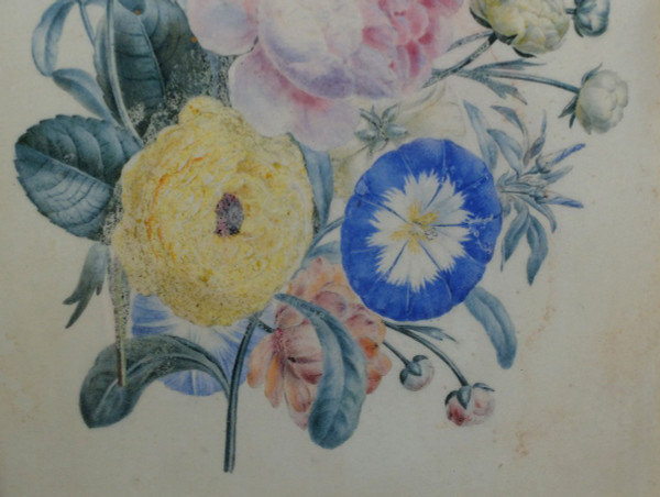 Bouquet di fiori - Gouache del XIX secolo