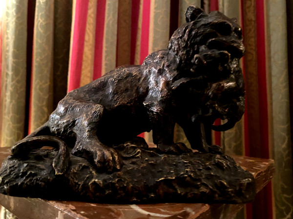 Bronzo animale di madre leonessa che porta in bocca la sua prole, XIX secolo