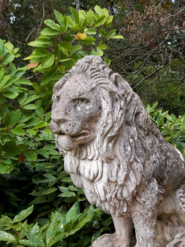 Leone da giardino in pietra