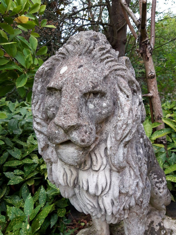Leone da giardino in pietra
