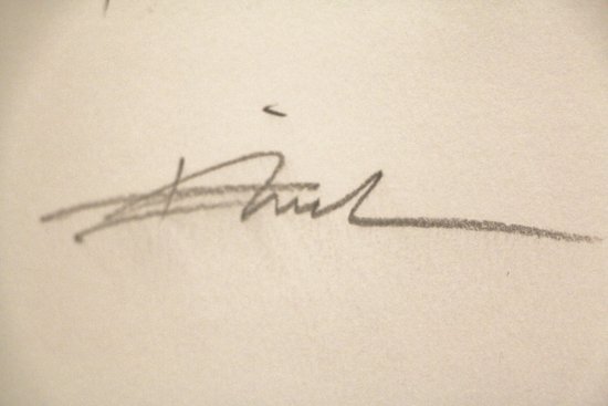 Enki BILAL (1951- ...), screenprint traced over by hand