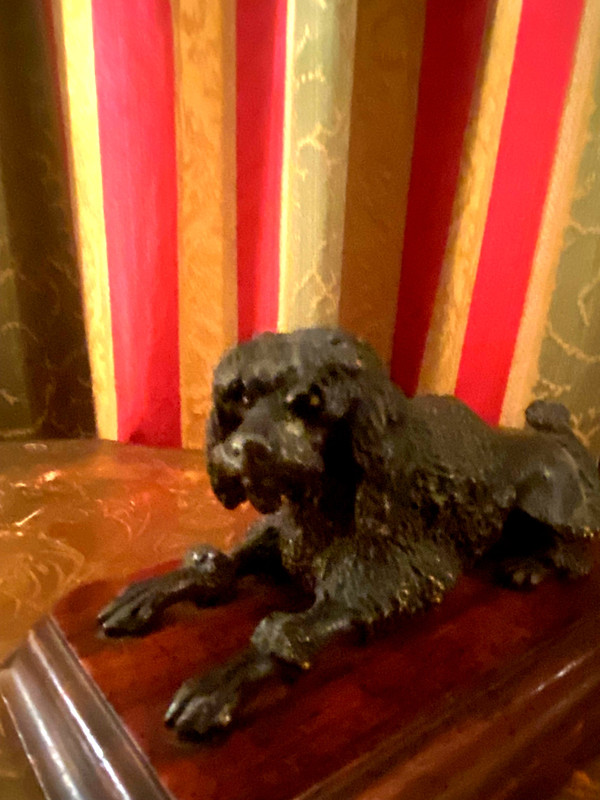 Königspudel aus patinierter Bronze auf einem Sockel aus Edelholz mit Löwenfrisur Schwefelaugen XIX.
