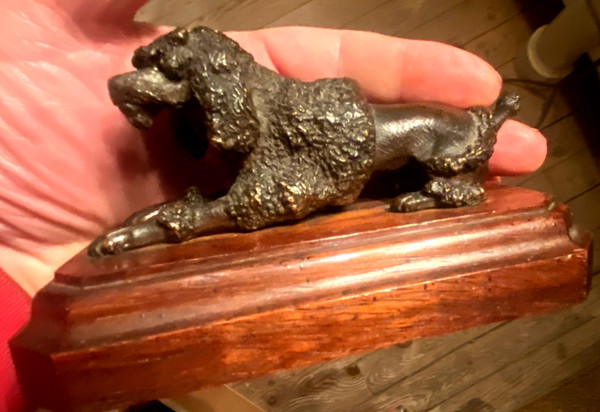 Königspudel aus patinierter Bronze auf einem Sockel aus Edelholz mit Löwenfrisur Schwefelaugen XIX.