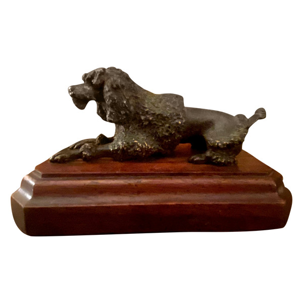 Königspudel aus patinierter Bronze auf einem Sockel aus Edelholz mit Löwenfrisur Schwefelaugen XIX.