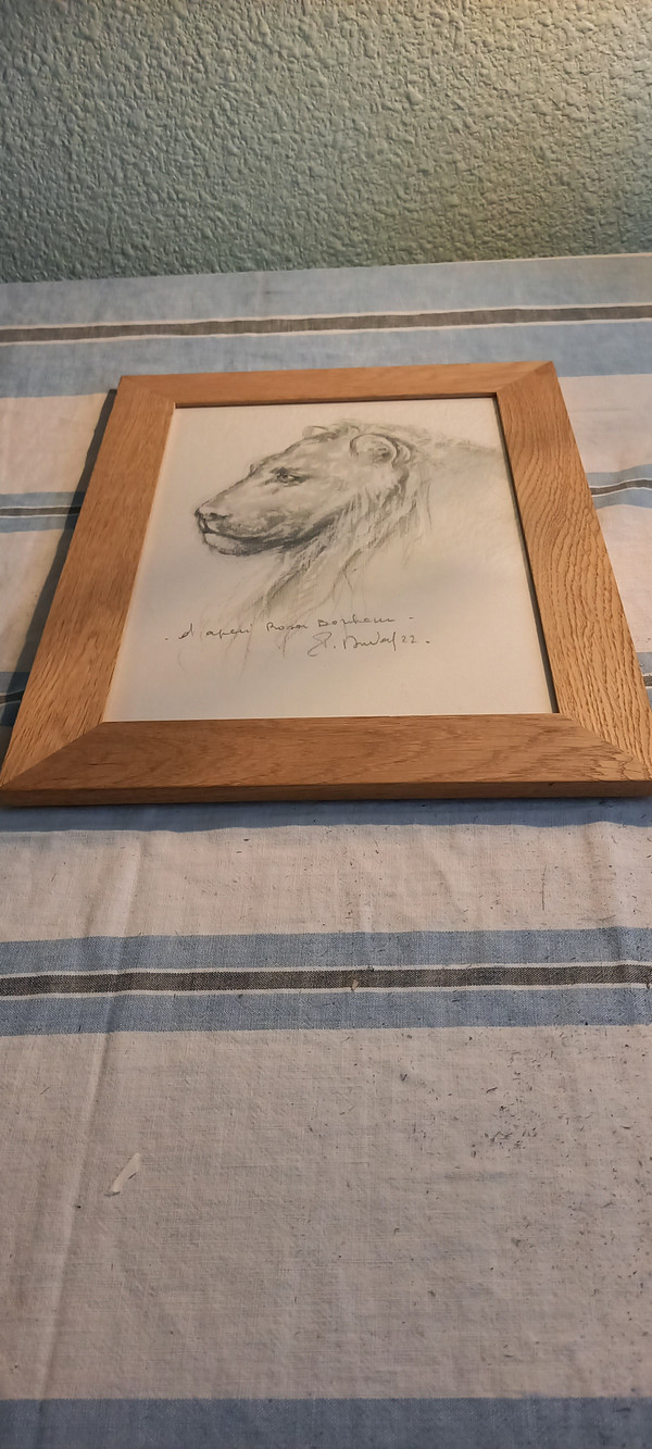 Portrait of a lion in gray pencil (after Rosa Bonheur 1822 1899)