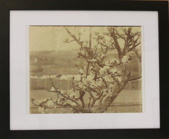 Eugène Atget - Vintage print