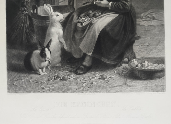 Etching Die Kaninchen Rabbits Animal Engraving After Meyerheim Old Print