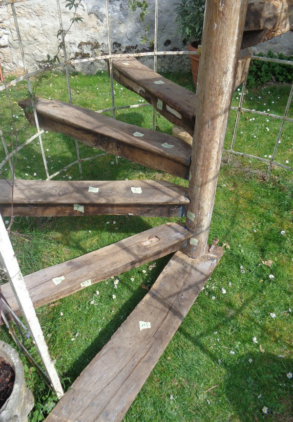 Spiral staircase XV- XVI th century In Oak