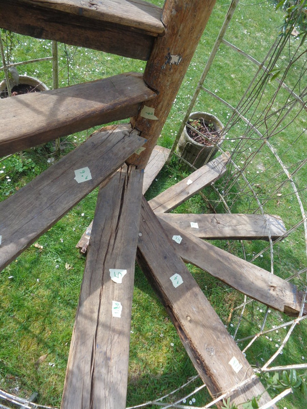 Spiral staircase XV- XVI th century In Oak