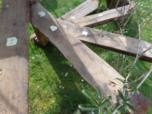 Spiral staircase XV- XVI th century In Oak