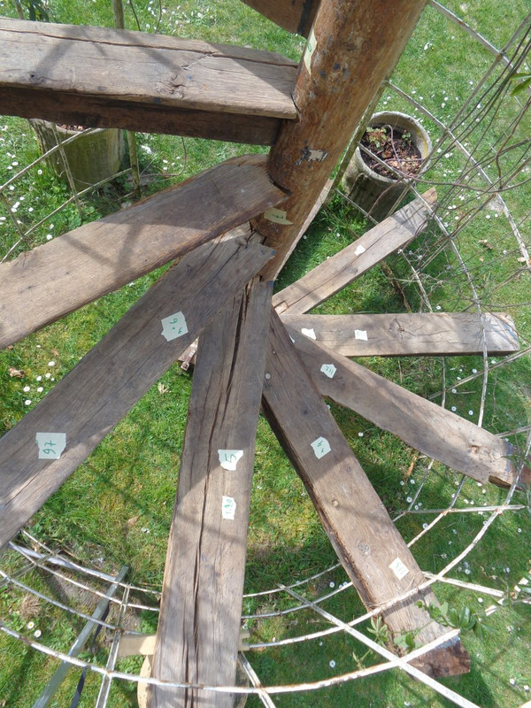 Spiral staircase XV- XVI th century In Oak