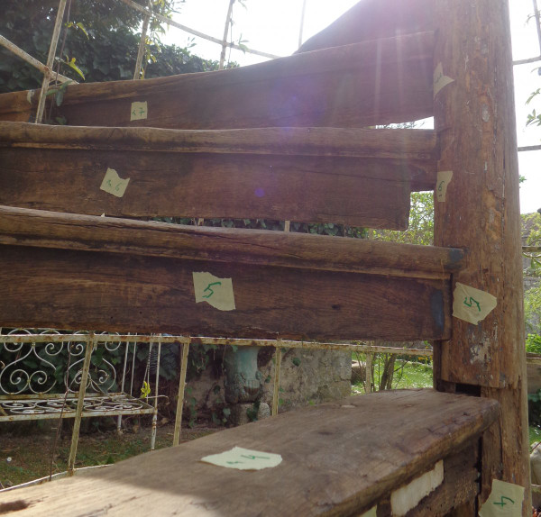 Spiral staircase XV- XVI th century In Oak