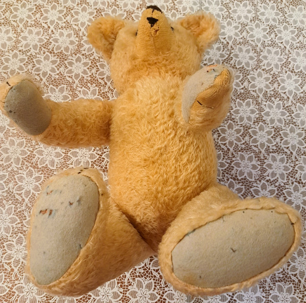 Teddy bear with glass eyes 1920s or 1930s height 57 cm