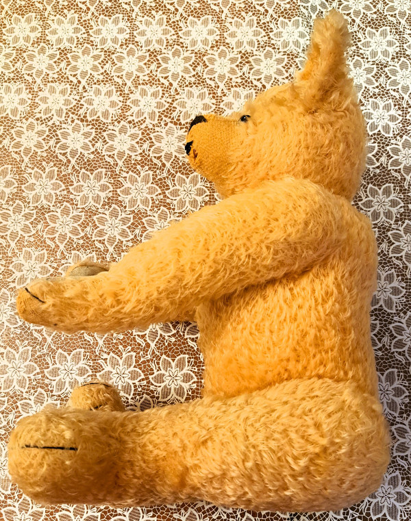 Teddy bear with glass eyes 1920s or 1930s height 57 cm