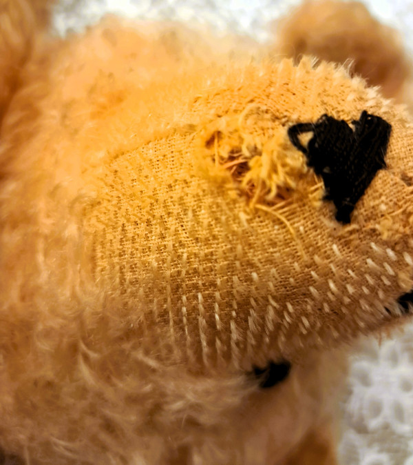 Teddy bear with glass eyes 1920s or 1930s height 57 cm