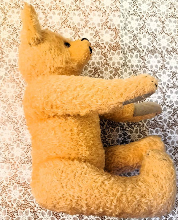 Teddy bear with glass eyes 1920s or 1930s height 57 cm