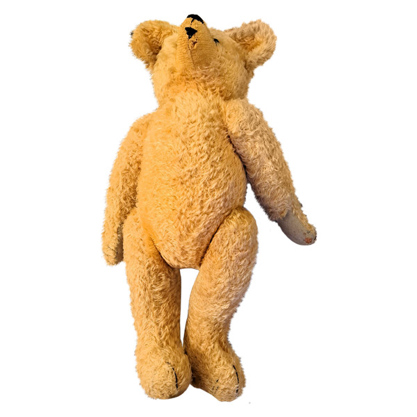 Teddy bear with glass eyes 1920s or 1930s height 57 cm