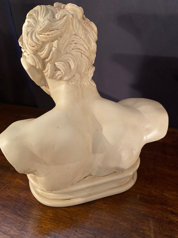Buste Faune De Vienne 19e Plâtre cachet du Louvre