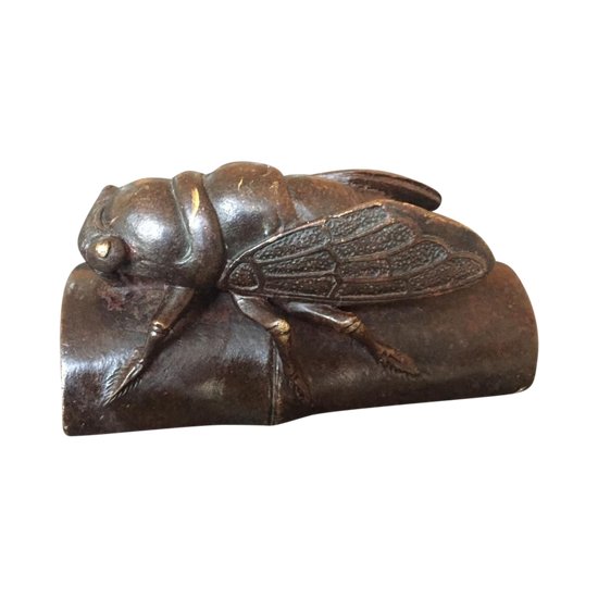 Cicada in Bronze. Calligrapher weight. Japan. XIXth.