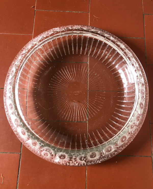 René Lalique “Daisy” Cup In Molded Crystal