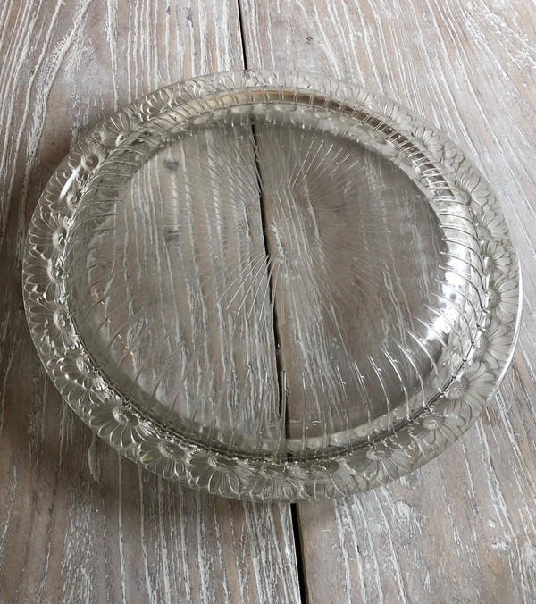René Lalique “Daisy” Cup In Molded Crystal