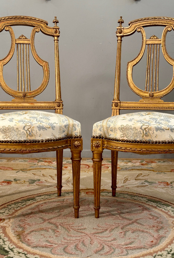 Paire De Chaises Lyre En Bois Doré De Style Louis XVI Epoque XIXème