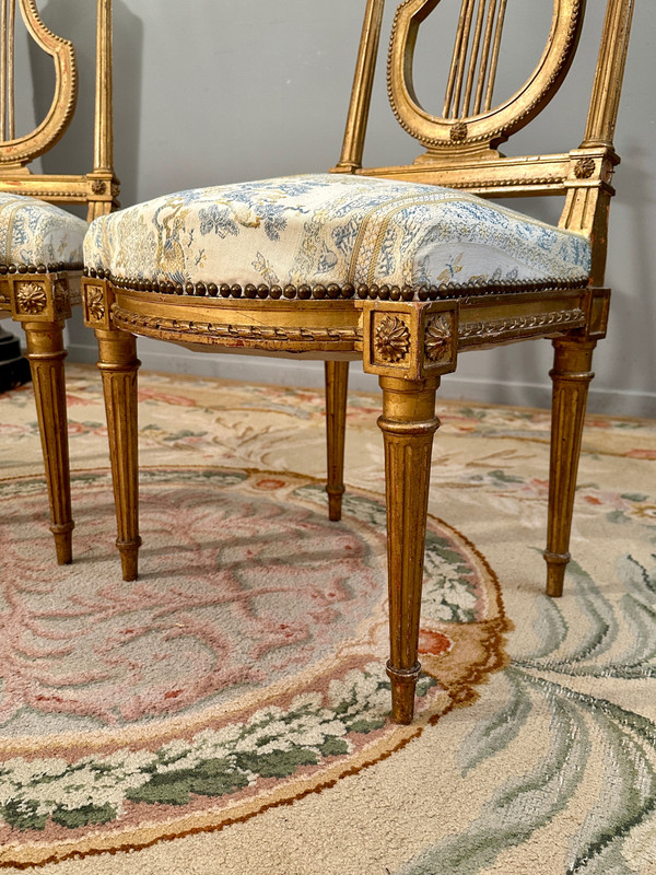Paire De Chaises Lyre En Bois Doré De Style Louis XVI Epoque XIXème